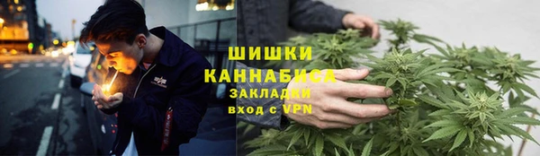 соль ск Вяземский