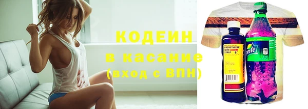 соль ск Вяземский