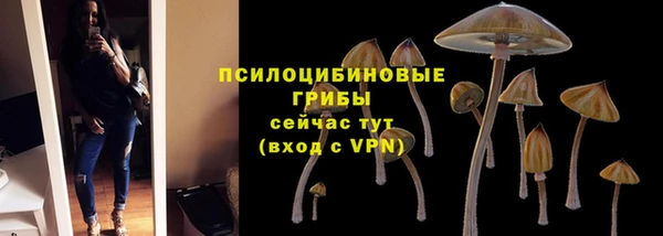 соль ск Вяземский