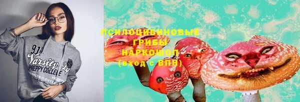 apvp Вязники