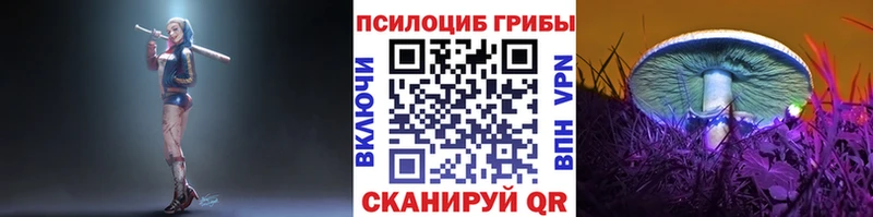 где найти   Михайлов  Псилоцибиновые грибы GOLDEN TEACHER 